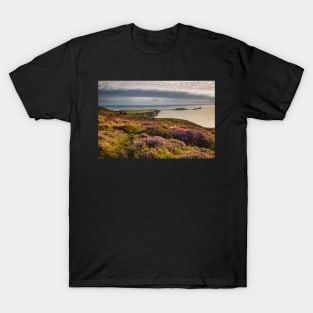 Worms Head and Rhossili Bay from Rhossili Down, Gower, Wales T-Shirt